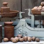 猫の無機リン「安全な上限」を探る：Waltham 7ヶ月研究が明らかにしたことのアイキャッチ画像