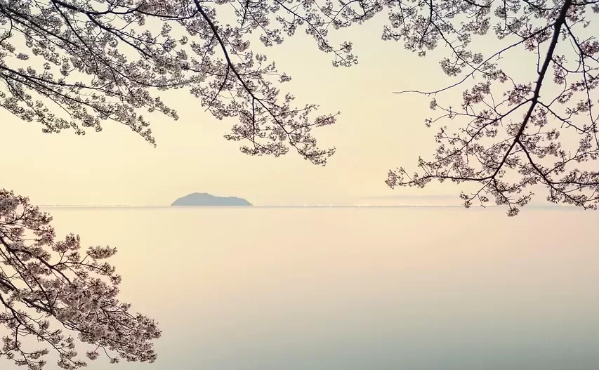 特別編：なぜ日本人にSNSは特に危険なのかのアイキャッチ画像